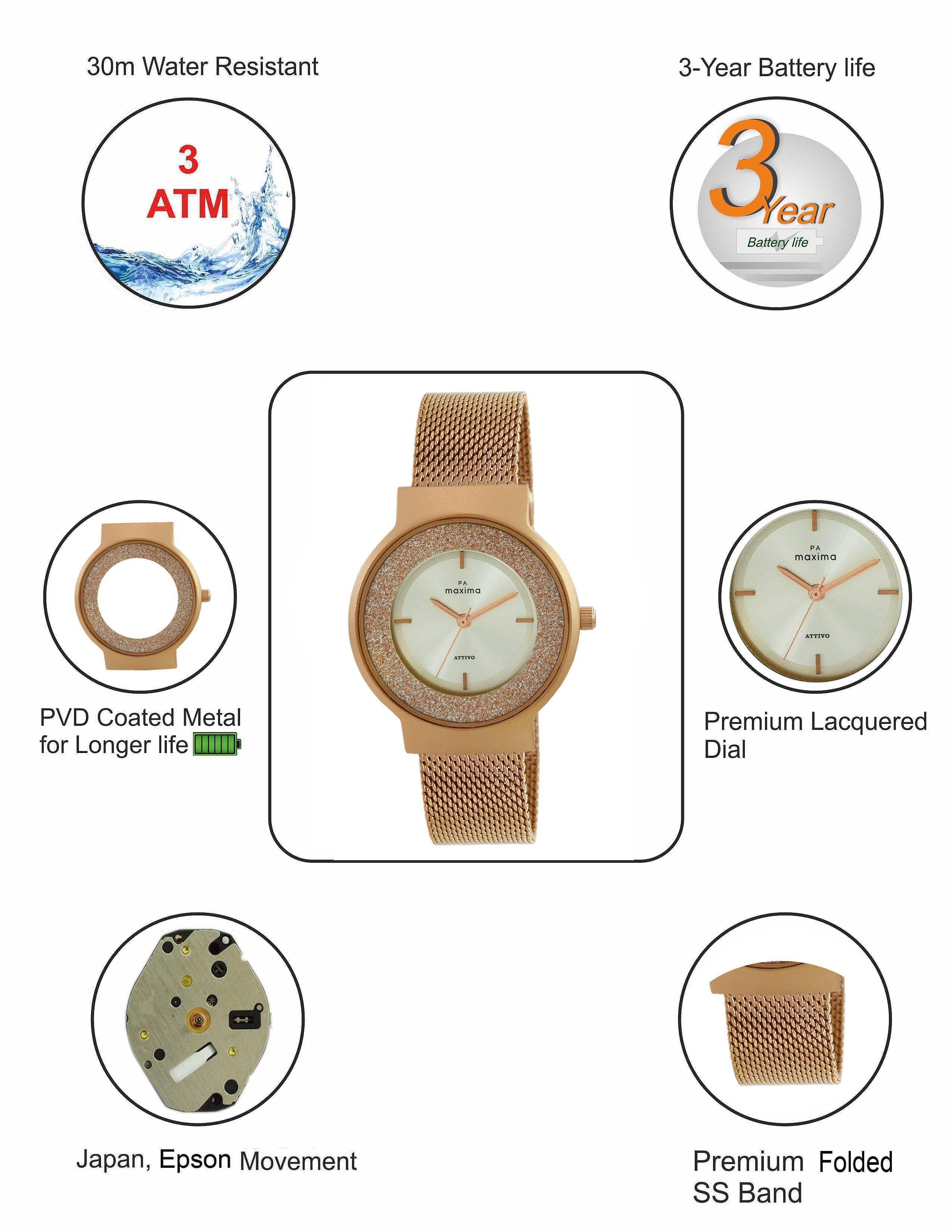 Maxima ATTIVO Women Silver Dial Analogue Watch - 66530CMLR